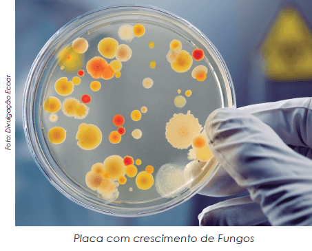 Qualidade do ar em ambientes internos: A importância da análise para parâmetros e correção